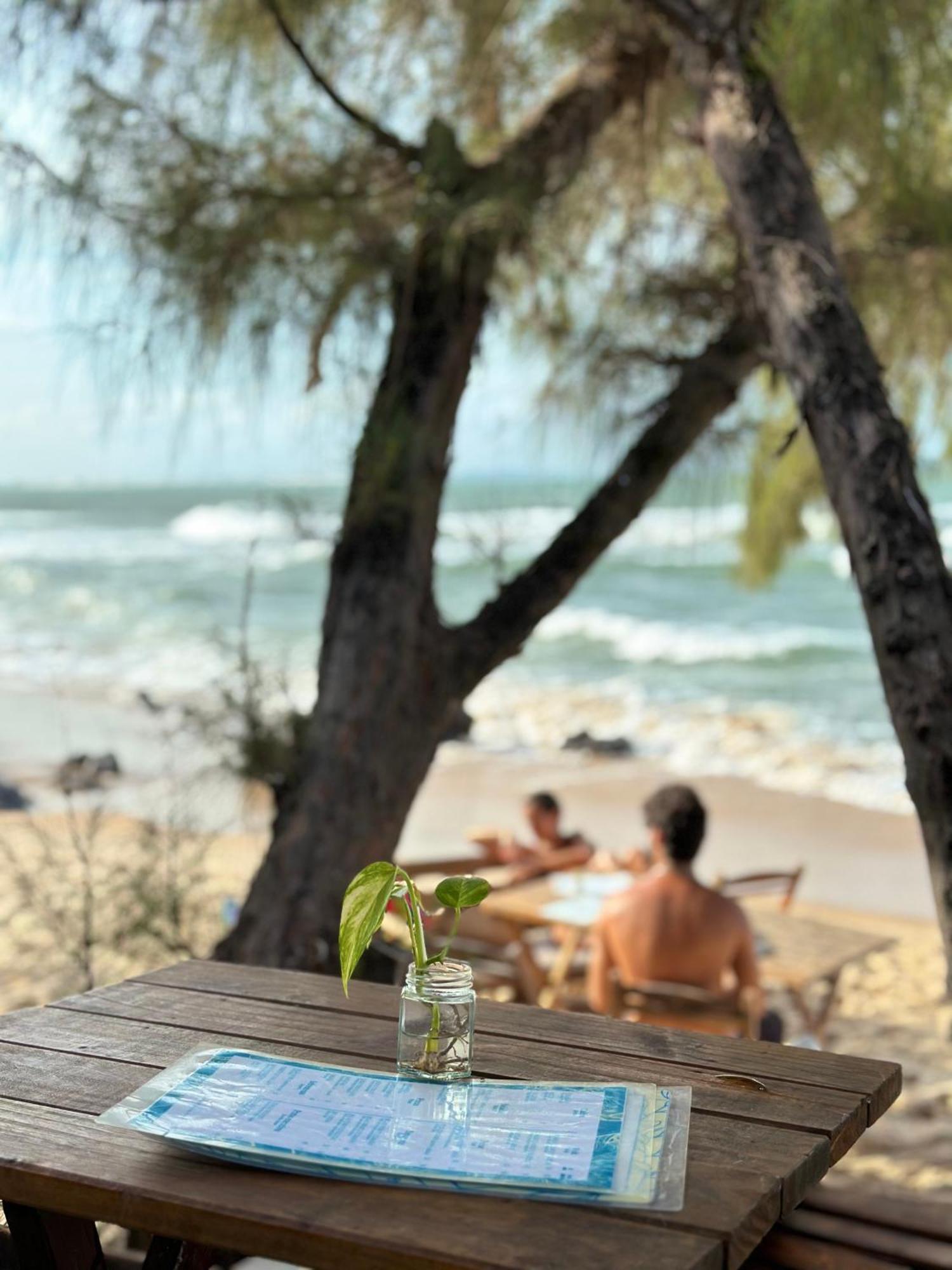 Pousada Paraiso Das Tartarugas Praia de Pipa Екстер'єр фото
